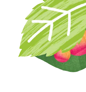 InnocentDrinks, dekoration